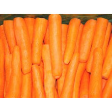 Китайский премиум морковь